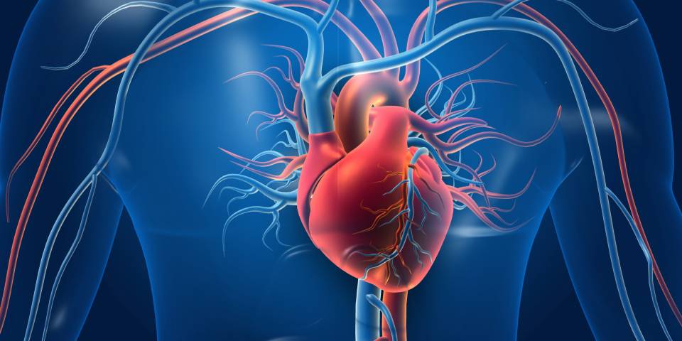 Heart Health Alert Key Signs That Could Indicate a Dangerous Blood Clot